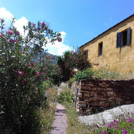 Ikarian Centre - Accommodation & Mountain Hiking Evdilos  Eksteriør bilde