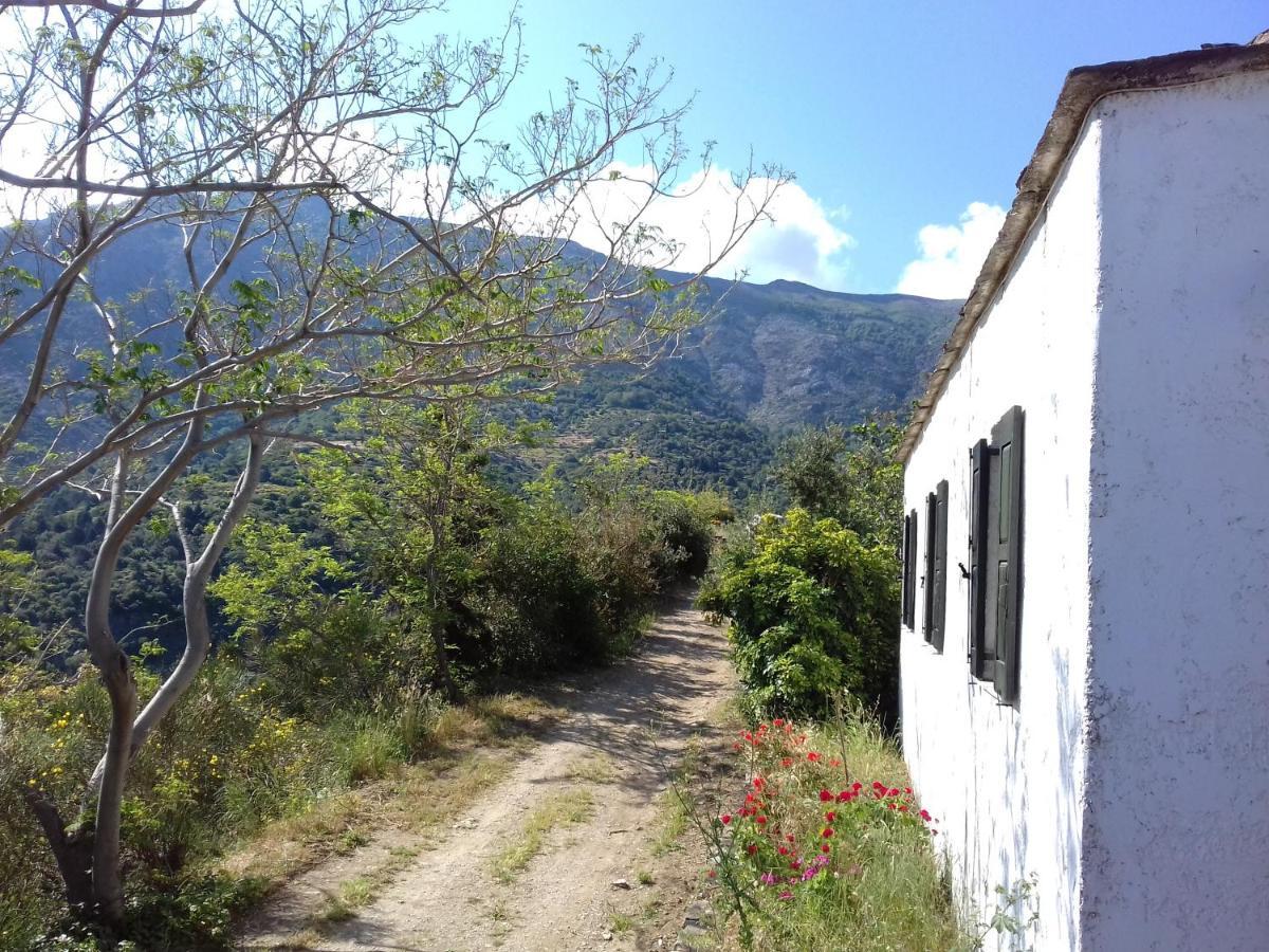 Ikarian Centre - Accommodation & Mountain Hiking Evdilos  Eksteriør bilde
