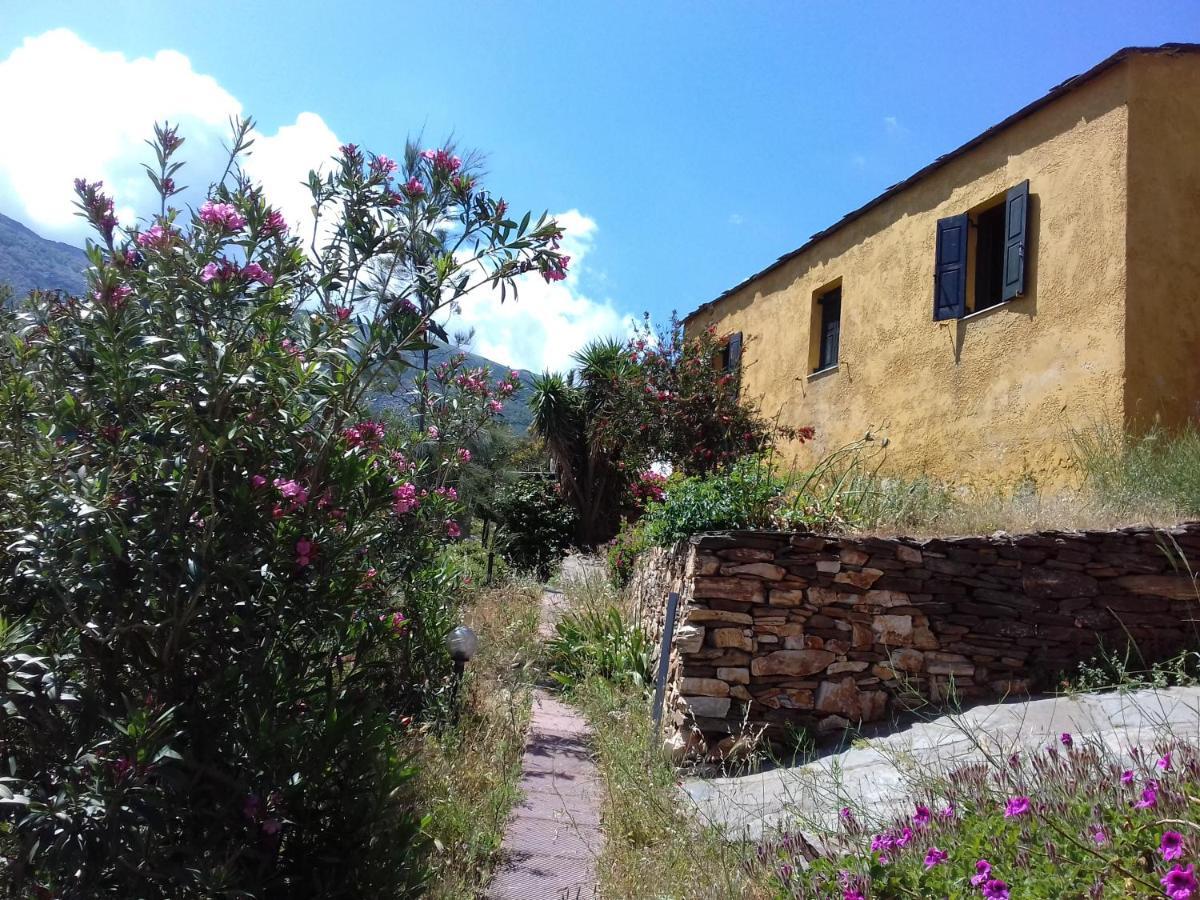Ikarian Centre - Accommodation & Mountain Hiking Evdilos  Eksteriør bilde