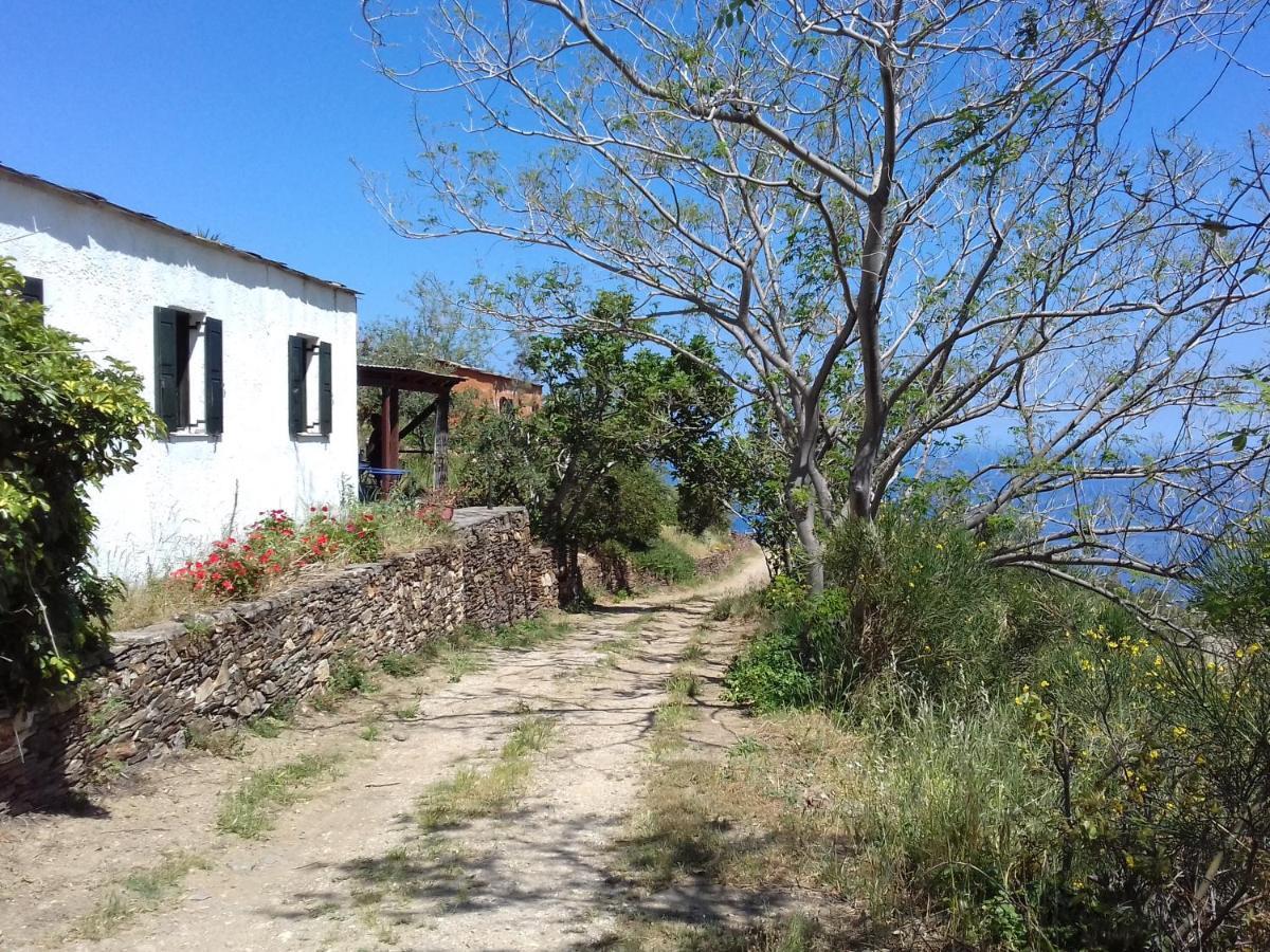 Ikarian Centre - Accommodation & Mountain Hiking Evdilos  Eksteriør bilde