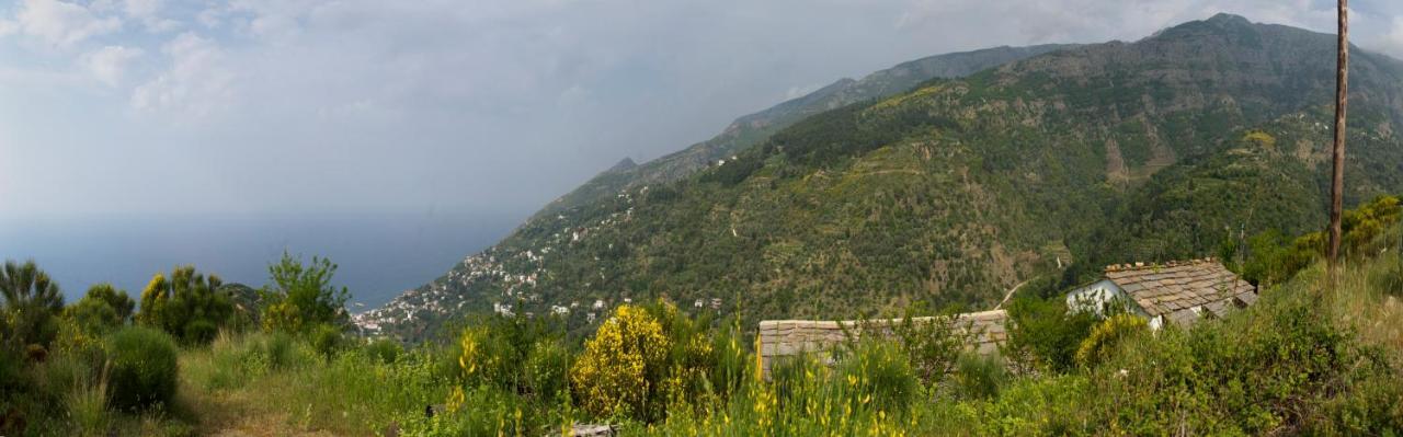 Ikarian Centre - Accommodation & Mountain Hiking Evdilos  Eksteriør bilde