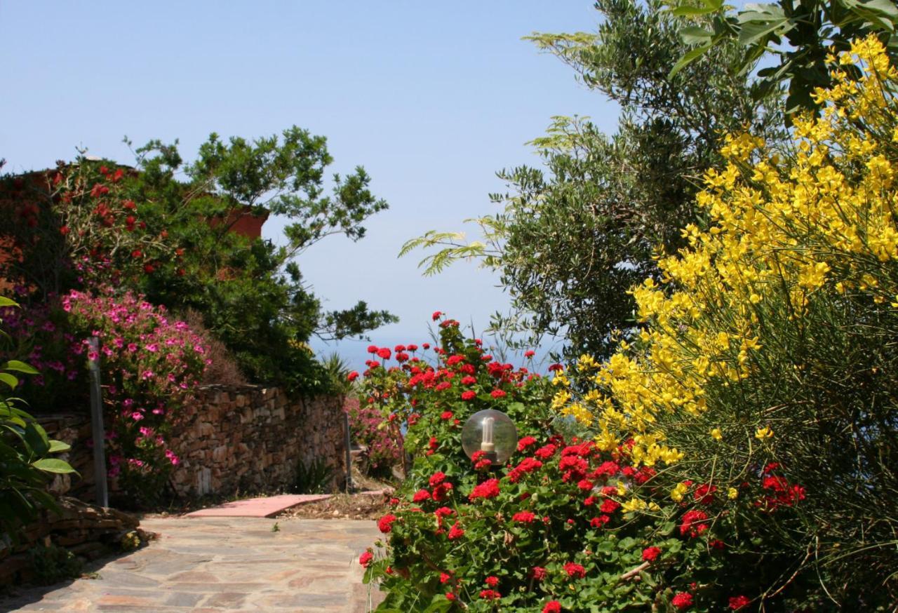 Ikarian Centre - Accommodation & Mountain Hiking Evdilos  Eksteriør bilde