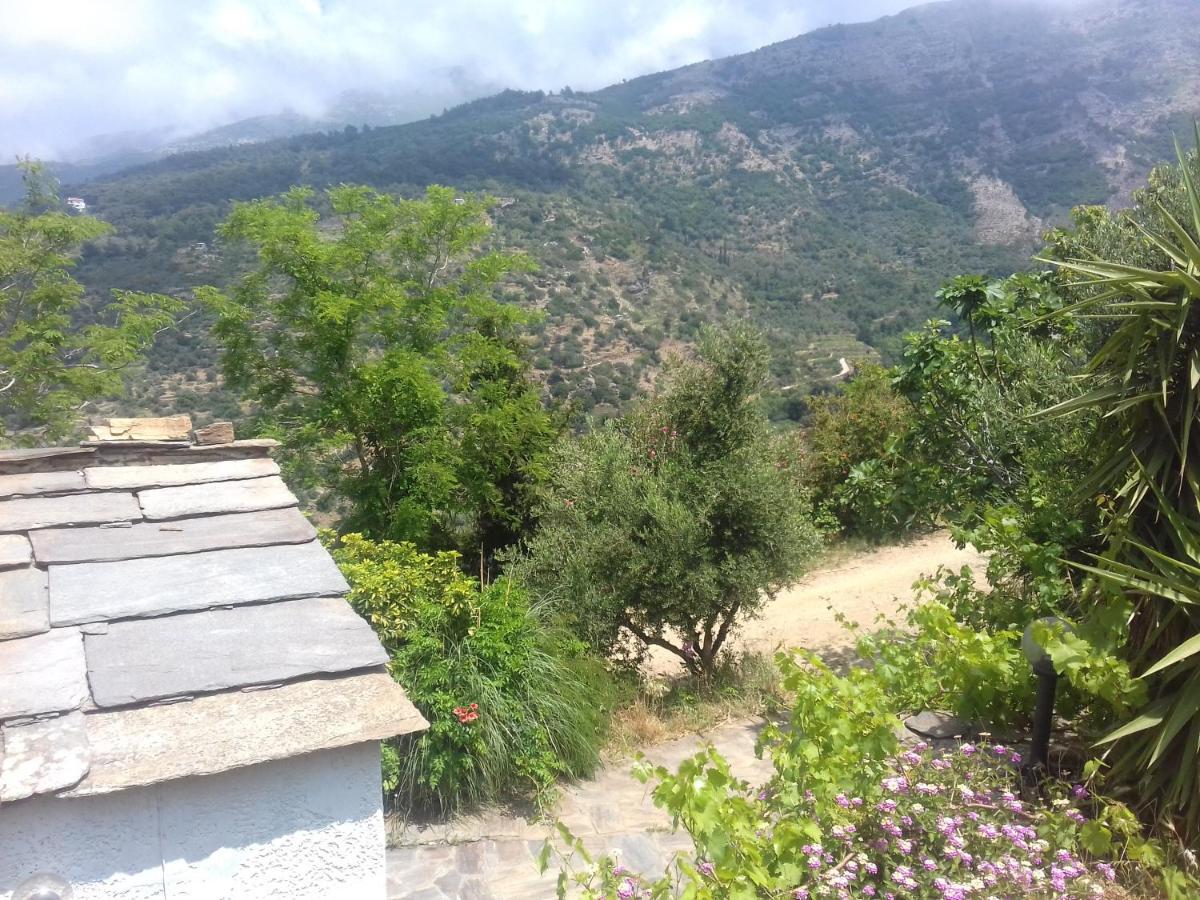 Ikarian Centre - Accommodation & Mountain Hiking Evdilos  Eksteriør bilde