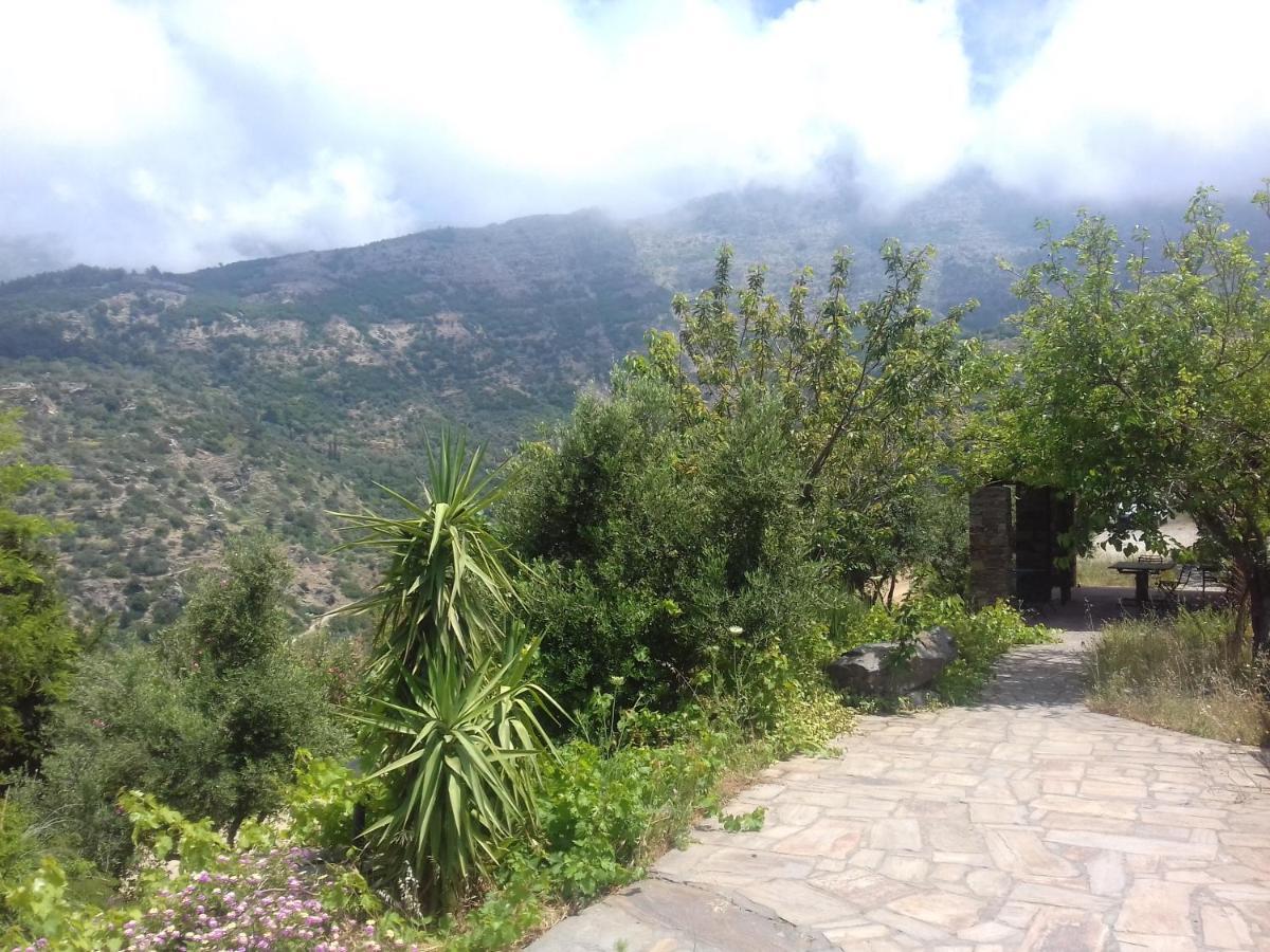 Ikarian Centre - Accommodation & Mountain Hiking Evdilos  Eksteriør bilde